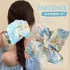 Nuevo Diseño Coreano de Nicho Hecho a Mano Encaje Plisado Encaje Banda para el Cabello Doble Capa Intestino Grande para el Cabello Accesorios para el Cabello