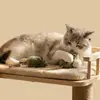 Pacote de Brinquedos para Gatos: 3 Ratos Realistas de Simulação + 2 Varas de Pesca, Brinquedos Interativos Divertidos para Filhotes e Gatos Adultos