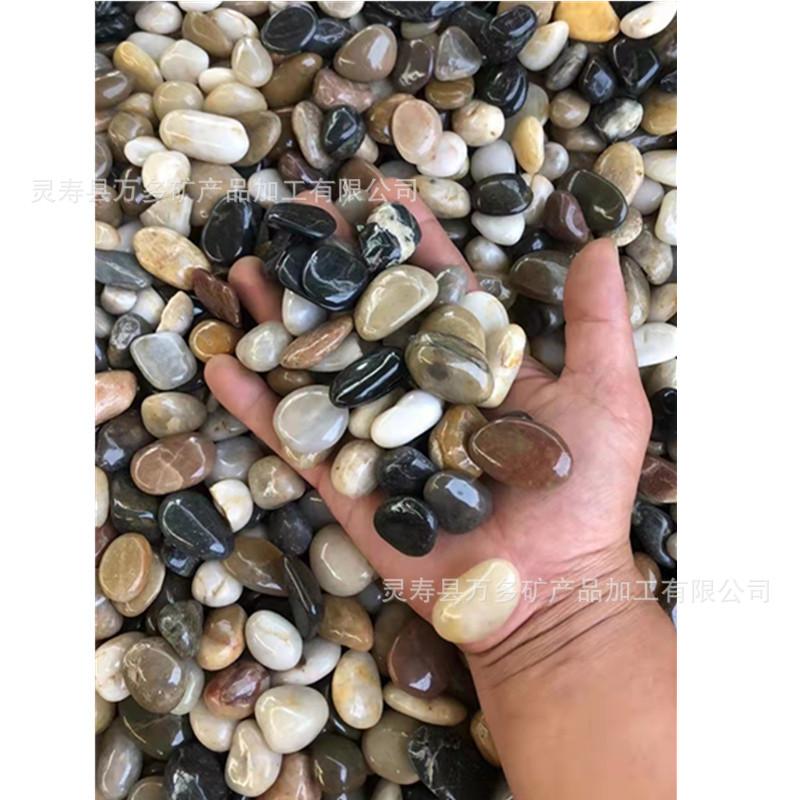 微信图片_20210913083946_副本