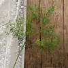 Pico de bambu de galho alto céu estrelado dente-de-leão verde escuro verde claro estilo floresta celebração de casamento decoração marcador de corredor arranjo de flores teto alto material de folha