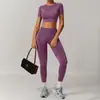 Conjunto de Roupas Fitness Novo Estilo Outono Inverno Feminino Justo Alta Elasticidade Esportivo Secagem Rápida Lycra Cintura Alta Conjunto de Roupas para Yoga