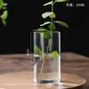 Botella de Vidrio de Borosilicato Alto para Plantas Hidropónicas para Interior, Escritorio, Maceta Pequeña, Cilindro Recto, Arte, Arreglo Floral, Jarrón, Musgo, Botella Ecológica