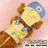 Guia de cachorro, guia de animal de estimação, coleira peitoral para cachorro pequeno, Bichon Frisé, Schnauzer, chapéu, design de desenho animado, guia de cachorro para passeios ao ar livre # #