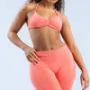 Sutiã esportivo de alta elasticidade, nylon fosco, sem costura, com gola halter para yoga, linda parte de trás, roupa íntima esportiva para mulheres, sutiã esportivo para usar por cima