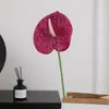 Flor Artificial de Anturio Falso Impresa en 3D Anturio de Fuego Decoración de Salón de Bodas Decoración del Hogar Planta Verde Artificial Fabricante de Flores Falsas