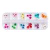 Nueva joyería de uñas transfronteriza, caja de 12 rejillas con flores secas, margaritas, estrellas, joyería de uñas natural DIY al por mayor