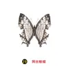 Especímenes Tridimensionales de Mariposas e Insectos Reales para la Educación Científica Infantil en Jardines de Infancia, con Alas Extendidas, Diseño de Estilo Fotográfico 1