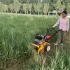 Novo cortador de grama a gasolina autopropelido de quatro rodas, pequeno, multifuncional, alta potência, para uso doméstico, recuperação de pomares e campos de milho