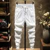Marca de moda de Hong Kong Pantalones casuales estampados de primavera y otoño Estilo coreano de moda Pantalones tobilleros de moda para hombre Pantalones deportivos elásticos combinables para hombre