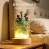 Set de regalo de aromaterapia sin fuego con aceites esenciales, que incluye una piedra difusora, fragancia de cristal, una luz nocturna romántica y es perfecto como regalo de cumpleaños o un detalle considerado para una amiga.