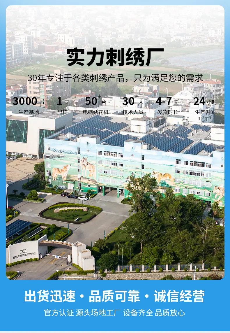 详情 (1)