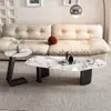 Mesa de Centro Creativa de Forma Irregular Lujo Ligero Moderna Minimalista Celebridad de Internet Estilo Italiano Apartamento Pequeño Sala de Estar Uso Doméstico