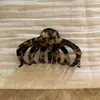 Presilha de Cabelo de Acetato Estilo Coreano com Toque de Luxo, Presilha de Tubarão Exquisita para Penteados, Presilha Grande para Cabelo Grosso, Novo Acessório de Cabelo