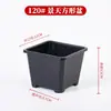Maceta Cuadrada Engrosada Transpirable para Sedum Maceta para Flores Suculentas Plástico Pequeña Negra Cuadrada Maceta para Plántulas Flor Planta Verde Control de Raíces Anti-Pudrición de Raíz