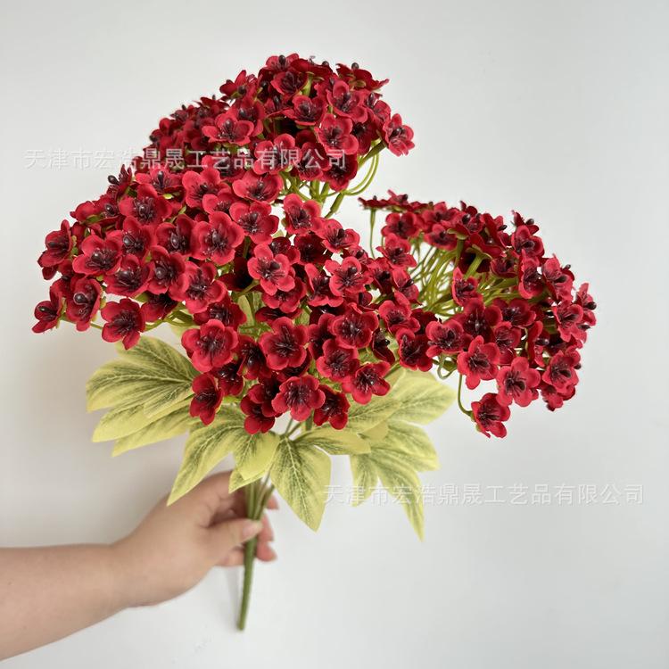 微信图片_202305101709197_副本