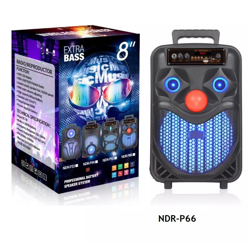 NDR-P66.jpg