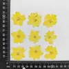 Fornecimento de Flores Delphinium, Flores Lisianthus, Flores Prensadas, Flores Secas, Capas de Celular de Resina com Pacotes de Material de Flores Secas Atacado