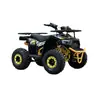 Quadriciclo Elétrico Carro de Praia Elétrico Moto de Quatro Rodas Elétrica Aluguel em Ponto Turístico Veículo de Quatro Rodas Elétrico Veículo Todo-o-Terreno