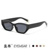 2025 Nova Moda Óculos de Sol Poligonais Olho de Gato Moda Versátil Óculos de Sol Street Style para Mulheres Óculos de Sol Transfronteiriços