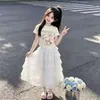 2026 Nuevo Estilo Conjunto de Dos Piezas para Niñas Estilo Coreano Dulce y Lindo Dibujos Animados Camiseta de Manga Corta Falda de Encaje de Malla Tipo Pastel