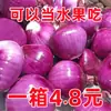 Las cebollas de piel morada de Shandong están frescas 2.5 kg Los chalotes dulces se pueden comer crudos como fruta, y las cabezas de cebolla son verduras de temporada de granja que se pueden comer crudas