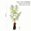Planta artificial helecho phalaenopsis para paisajismo decorativo en la sala de estar y el balcón, planta de piso estilo Zen, adorno de planta falsa biomimético