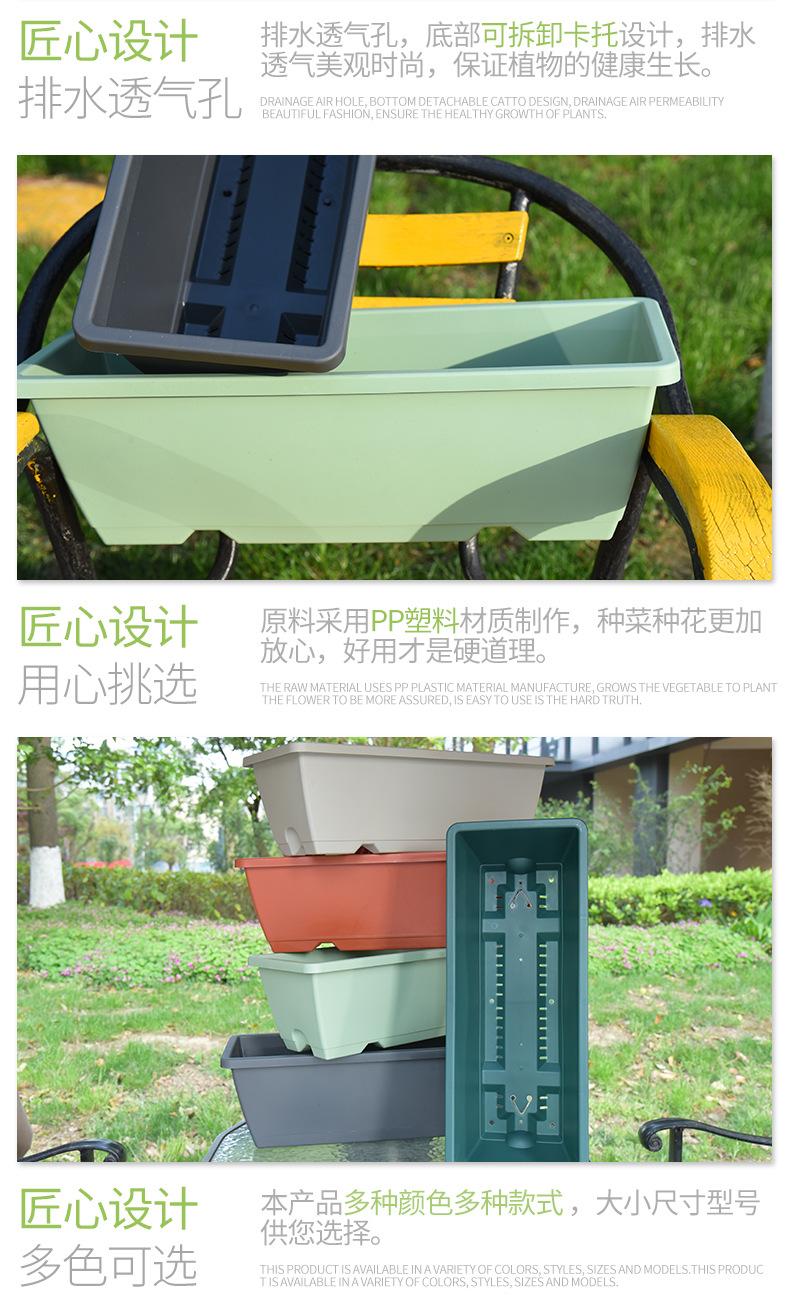虎威详情_05
