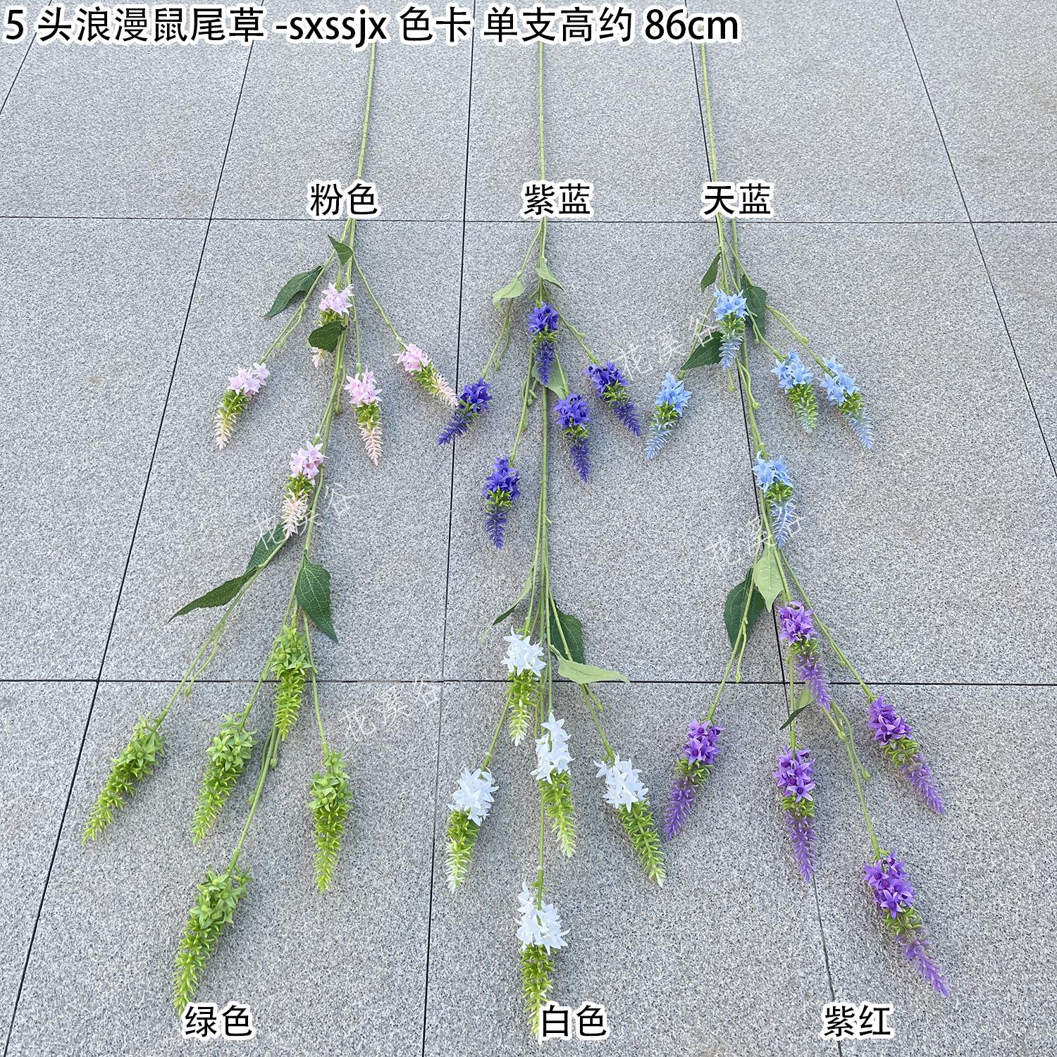 5头浪漫鼠尾草-sxssjx 色卡 花溪谷.jpg