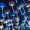 Celebridad de Internet Lámpara de Medusa Colorida con Degradado Acuario Museo Perdido Iluminación LED Fibra Óptica Medusa Lámpara de Techo Techo