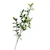 Plantas Verdes Artificiales, Ramas de Sauce Nieve, Fruta Verde Perenne, Decoración de Balonmano, Flores Artificiales, Arreglo Floral para el Hogar, Estilo Coreano, Pequeño Fresco y Salvaje Divertido