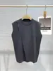 Conjunto de Tricô de Lã Elegante com Colete + Saia Duas Peças 26 Outono Inicial Novo Traje Leve de Luxo Feminino