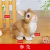 Decoración de animalito blanco de conejo lindo para exteriores, muñeco de conejito blanco pequeño, decoración de micro paisajismo para jardín
