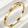 Pulsera de acero de titanio, un artículo de moda popular transfronterizo en Europa y América, con un diseño de lujo ligero y único, pulsera de acero inoxidable