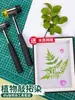 Juego de Herramientas para Teñido y Frotado de Plantas, Kit de Materiales, Bolsa de Lona Abanico, Frotado para Impresión y Teñido, Agente Fijador de Color de Alumbre