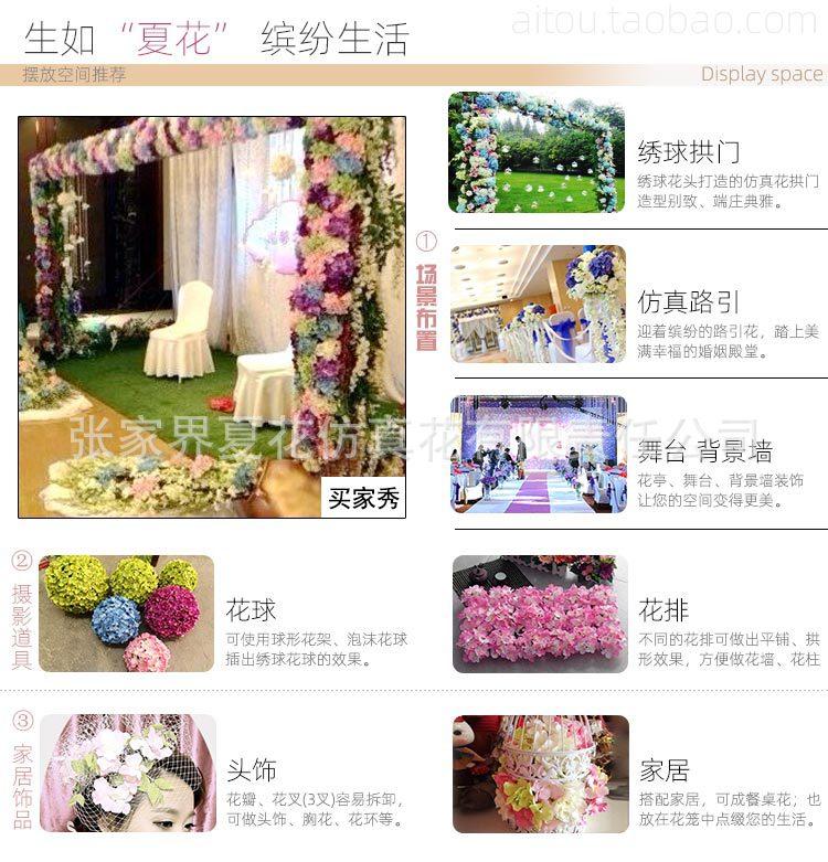 绣球花头XH(2014)_30.jpg
