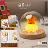 Luz de Noche de Gelatina de Concha de Erizo de Mar Natural Kit de Materiales Hechos a Mano para Bricolaje Adorno Decorativo Regalo para Niños y Novias