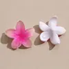 Patch de Decoração Acrílica Flor de Cinco Pétalas Gelo Transparente de Verão, Brincos DIY, Acessórios de Orelha, Acessório para Chaveiro de Tamanco