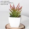 Bonsai Artificial Carnudo Flores Artificiais de Plástico Combinação Planta Verde para Interior Escritório Mesa Pequenos Enfeites Plantas Artificiais Atacado