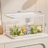 Aquário de Peixes de Estimação Tanque Ecológico de Plástico Aquário Ornamental Tanque de Criação de Peixes Aquário Ecológico Multifuncional para Tartarugas Tanque Ecológico para Répteis