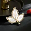 Broche de Hoja de Nácar de Diseño Nicho Coreano de Alta Gama, Estilo Fresco, Joyería de Broche Corsage Simple y Versátil