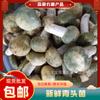 Champiñones Frescos de Cabeza Verde, una Especialidad de Yunnan, Envío Gratis Vía Sf Express, Recién Recolectados, Dropshipping de Una Pieza, Delicias de Montaña, Champiñones Ecológicos, Enviados por Aire