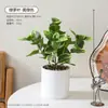 Plantas Verdes Artificiales, Árbol del Dinero Pequeño en Maceta, Escritorio de Oficina Interior de Gama Alta, Mesa de Café de Sala de Estar, Decoración de Flores Falsas