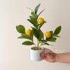 Simulación Planta Verde Limón Maceta Árbol de Limón Fruta de Limón Pequeña Maceta Transfronteriza Accesorios de Fotografía Decoración de Escritorio Escritorio