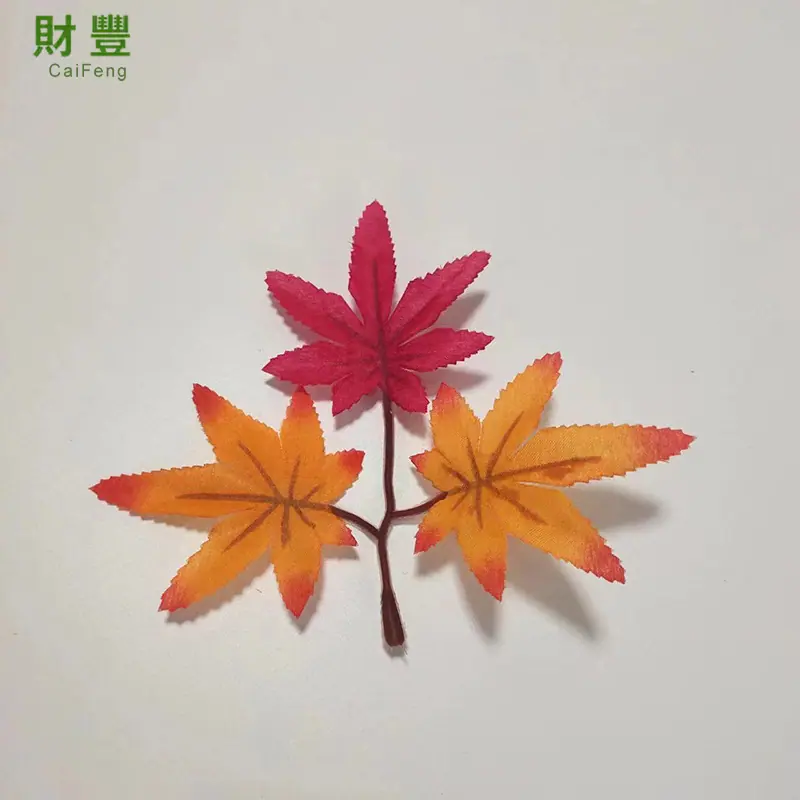 三片七角枫叶.jpg