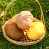 Modelo de patata de simulación fruta falsa verdura espuma comida niños cognitivo educación temprana accesorios ventana decoraciones de restaurante