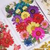 Bolsa Relevo DIY de Flor Seca, Marcador de Livro em Relevo, Bolsa em Relevo, Material para Pintura em Relevo, Cola para Flor Real, Folhas Secas