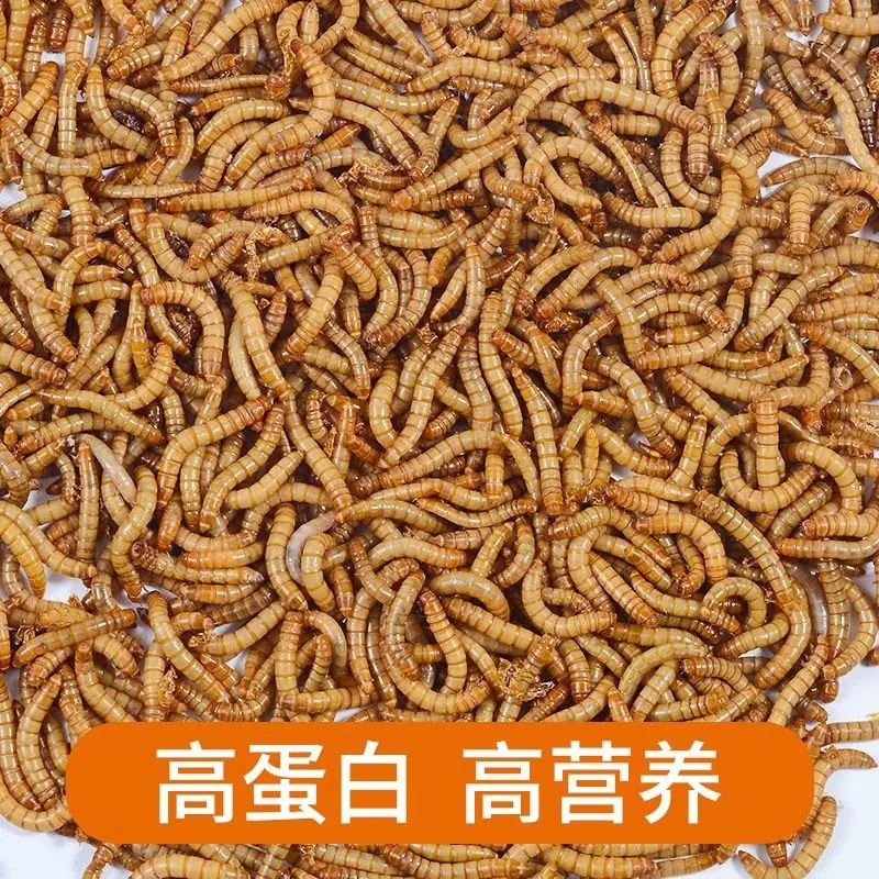 c3f790aa-40c3-4a57-9595-894df88b1420.jpe
