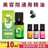 Tubo de Cuerno Real para Masaje de Espalda, Gua Sha, Uso General del Cuerpo, Limpieza de Meridianos de Hombro y Cuello, Acupresión, Cucharita, Portátil, Mayoreo
