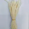 Directo de fábrica en stock pluma de ganso unilateral desgarro accesorios de plumas diy pluma de ganso de color pluma de desgarro