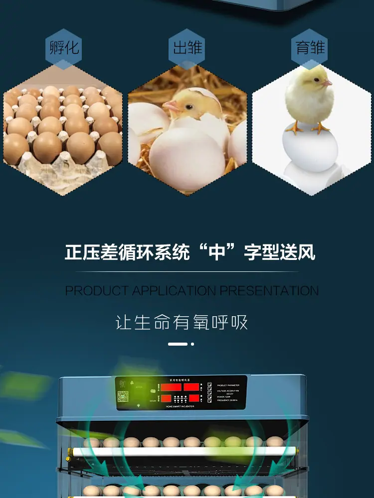 详情_11.jpg